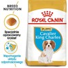 Šunų Maistas - Royal Canin