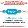 Šunų Maistas - Royal Canin
