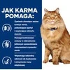 Sausas Kačių Maistas - Hill's Pd K/D Inkstų + Judrumo Vištiena 3 Kg