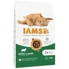 IAMS Adult Cat (ėriena) 10kg