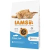 IAMS Adult Cat (žuvimi) 10kg