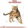 Royal Canin Bengal Adult 2kg