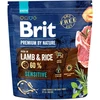 BRIT Premium by Nature Sensitive su ėriena ir ryžiais - dry dog food - 1kg