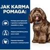 Sausas Šunų Maistas - Hill's Pd B/D Smegenų Senėjimo Priežiūra 12 Kg