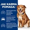 Sausas Šunų Maistas - Hill's Prescription Diet Derm Complete 1,5 Kg