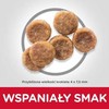 Sausas Šunų Maistas - Hill's Science Plan Suaugusiųjų Mažų Ir Mini Veislių Vištiena 1,5kg