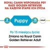 Royal Canin Golden Retriever Puppy sausas maistas auksaspalvių retriverių veislės šuniukams, 12 kg