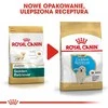 Royal Canin Golden Retriever Puppy sausas maistas auksaspalvių retriverių veislės šuniukams, 12 kg