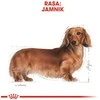 Royal Canin BHN Dog Dachshund Adult 1,5kg