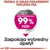 ROYAL CANIN CCN MINI EXIGENT 1kg, mažų veislių, suaugusių, išrankių šunų sausas pašaras