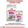 ROYAL CANIN CCN MINI EXIGENT 1kg, mažų veislių, suaugusių, išrankių šunų sausas pašaras