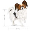 Sausas Šunų Maistas - ROYAL CANIN Suaugusiems X-Mini SHN 3kg