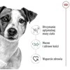 ROYAL CANIN Adult Mini S - sausas šunų maistas - 2kg