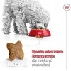 ROYAL CANIN Adult Mini S - sausas šunų maistas - 2kg