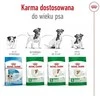 ROYAL CANIN Adult Mini S - sausas šunų maistas - 2kg