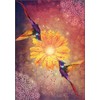 Schiffer Publishing Hummingbird Wisdom Oracle Kortos