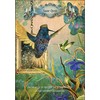 Schiffer Publishing Hummingbird Wisdom Oracle Kortos