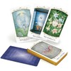Schiffer Publishing Insight Tarot kortos