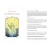 Schiffer Publishing Insight Tarot kortos