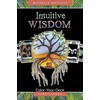 Schiffer Publishing Intuitive Wisdom Tarot Kortos Ir Knyga