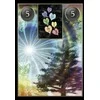Schiffer Publishing Lenormand Cartomancy Kortos