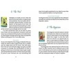 KNYGA Schiffer Publishing Lisboa Tarot Kortos