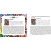 Schiffer Publishing Powerful Perspectives Oracle Kortos
