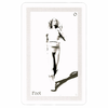 Schiffer Publishing ShadowFox Tarot Kortos