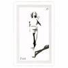 Schiffer Publishing ShadowFox Tarot Kortos