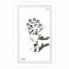 Schiffer Publishing ShadowFox Tarot Kortos