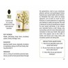 Schiffer Publishing Shadowland Lenormand Cards Taro Kortos