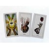 Schiffer Publishing The Awakening Tarot : An Elemental Approach Taro Kortos