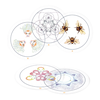 Schiffer Publishing Transparent Oracle Kortos 2-asis Leidimas