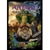 Solarus Animal Guidance And Aspects Oracle Kortos
