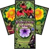 Solarus Flower Magic Oracle Kortos