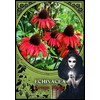 Solarus Flower Magic Oracle Kortos