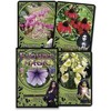Solarus Flower Magic Oracle Kortos