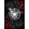 Solarus Gothika Revealed Oracle Kortos