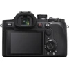 Sony Cyber-shot DSC-RX10 V (DSCRX10M5B.CEC)