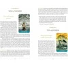Steele Wizards Tarot Kortos Schiffer Publishing
