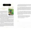 Steele Wizards Tarot Kortos Schiffer Publishing
