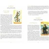 Steele Wizards Tarot Kortos Schiffer Publishing