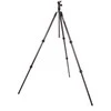 Stovas - 3 Legged Thing Pro 2.0 Winston 40kg 185cm Anglies juoda