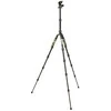 Stovas - 3 Legged Thing Punks Corey 2.0 14kg Apkrova 36.1cm Juoda/Zalia