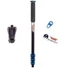Stovas - 3 Legged Thing Trent 2.0 Stovas 2m, Mėlyna