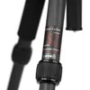 Stovas - Caruba Travelstar 143 Anglies 10kg Apkrovos Talpa 143cm Aukštis