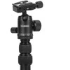 Stovas - Caruba Travelstar 143 Anglies 10kg Apkrovos Talpa 143cm Aukštis
