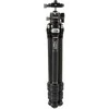 Stovas - Caruba Travelstar 70C Carbon 5kg Load 70cm Height