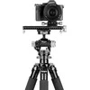 Stovas - Fotopro GH 01 Geared Head 20kg Load Capacity