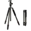 Stovas - Fotopro X Go Max Carbon Tripod (171cm, 12kg, nuimamas kojos)
